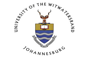 WITS logo